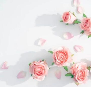 巾帼英姿  净界先锋